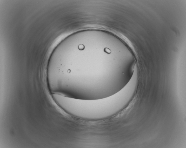 X0000113291381200910131017