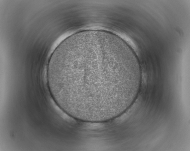 X0000113291382200910131017