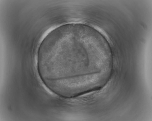 X0000113291383200910131017