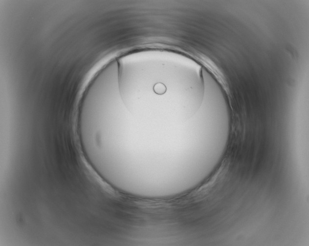 X0000113291384200910131017