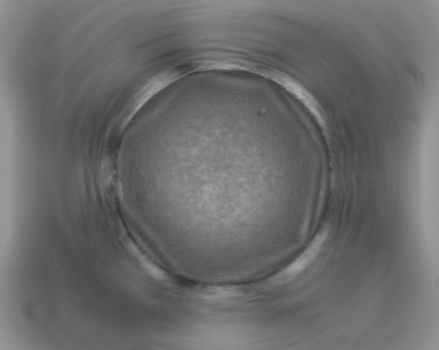 X0000113291385200910131017