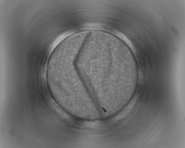 X0000113291386200910131017
