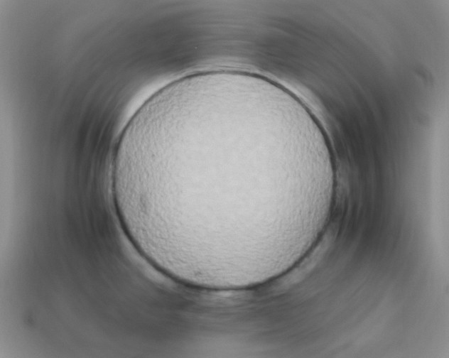 X0000113291390200910131017