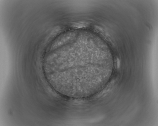 X0000113291393200910131017