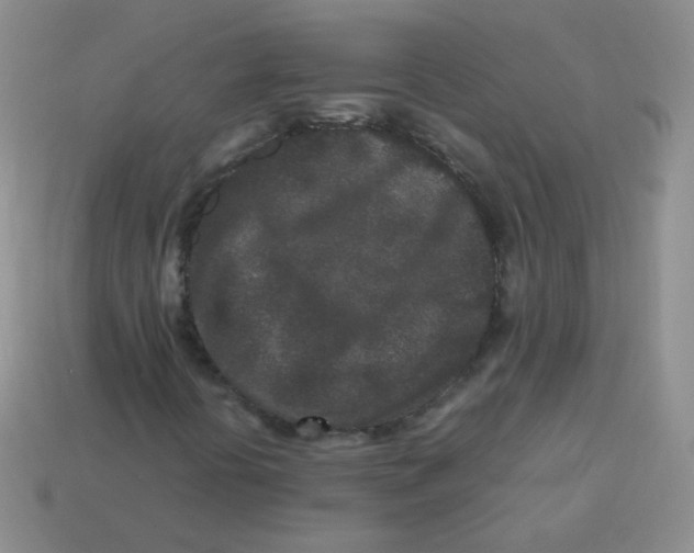 X0000113291394200910131017