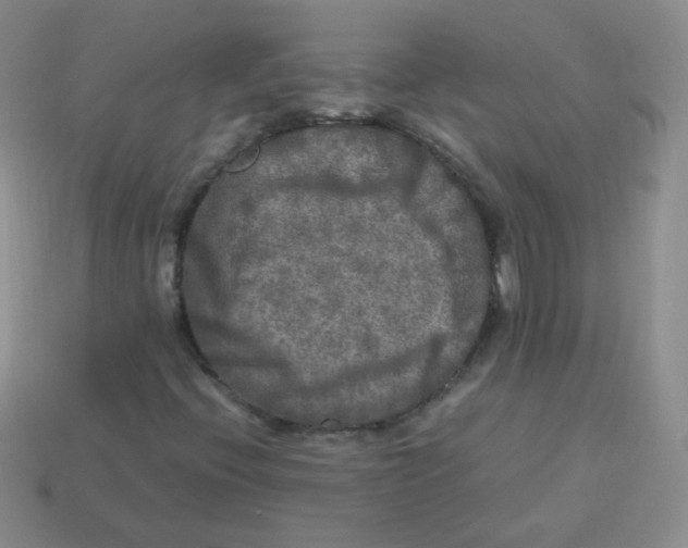 X0000113291396200910131017