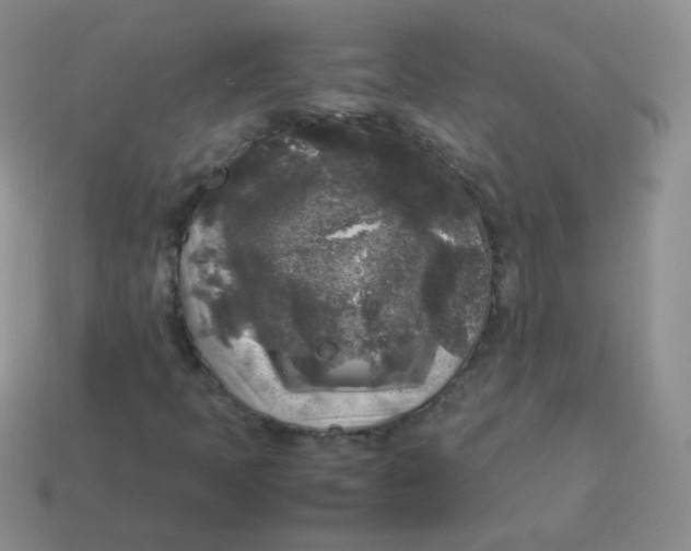 X0000113291397200910131017