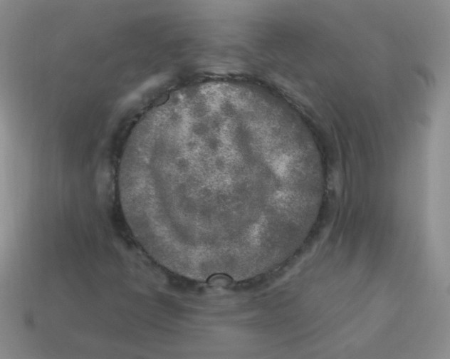 X0000113291398200910131017