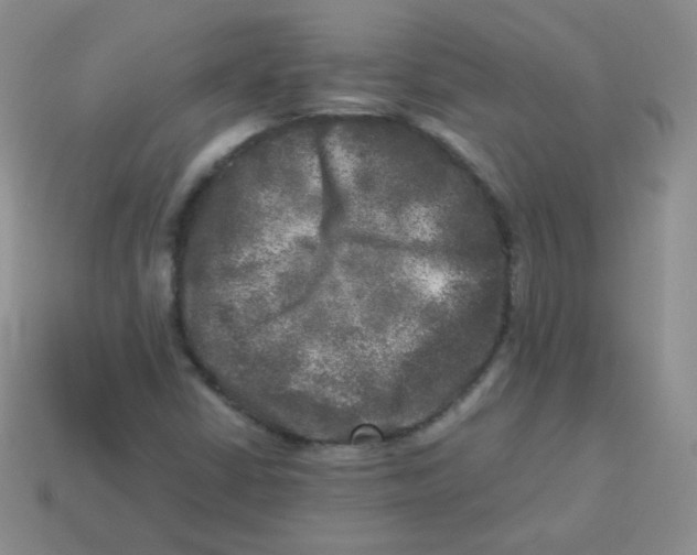 X0000113291402200910131017
