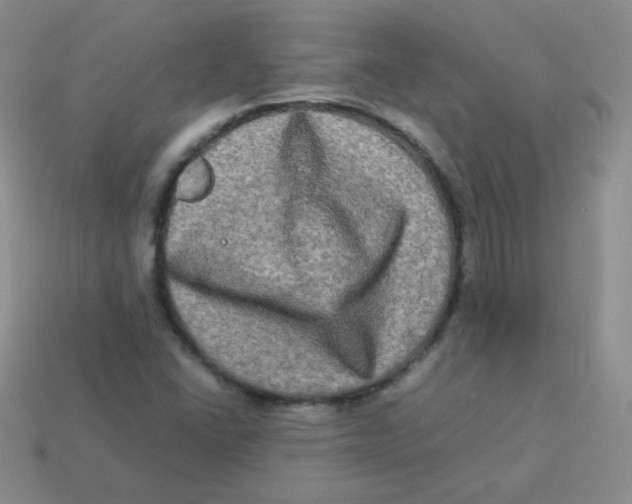 X0000113291406200910131017