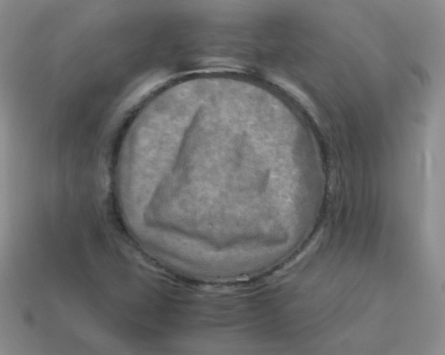 X0000113291407200910131017