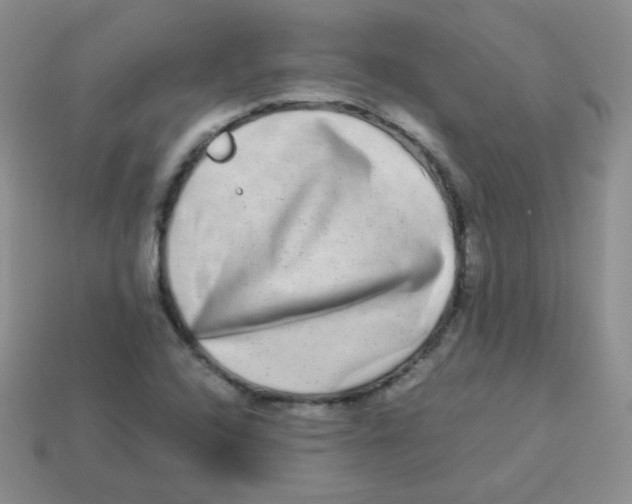 X0000113291408200910131017