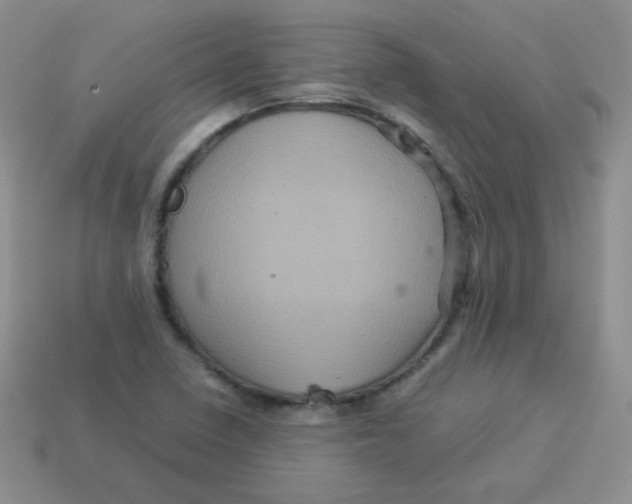 X0000113291410200910131017