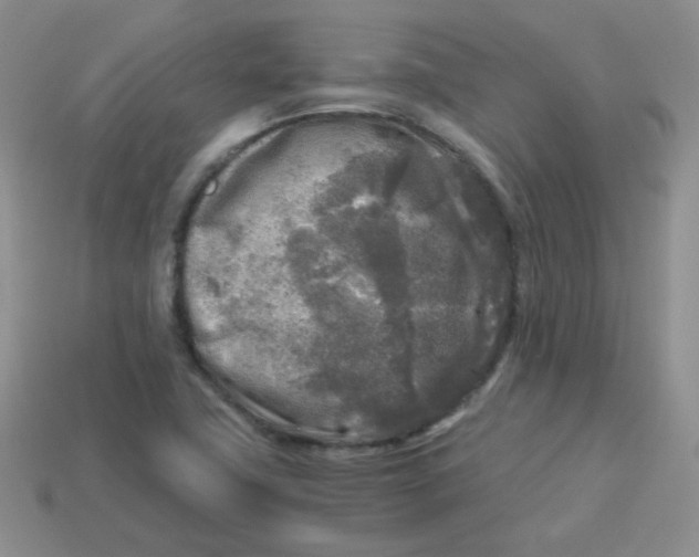 X0000113291411200910131017