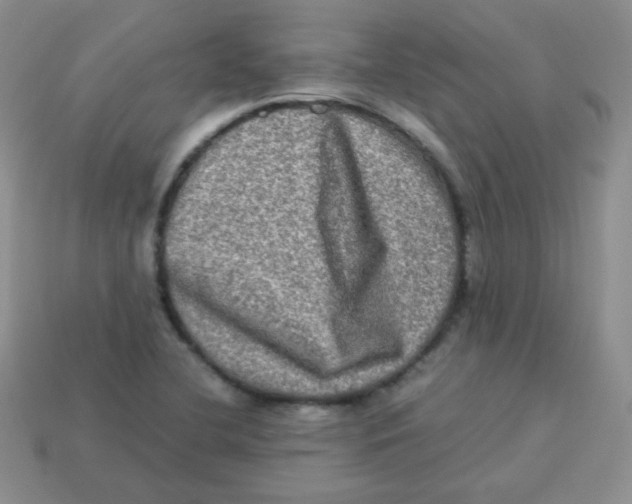 X0000113291412200910131017