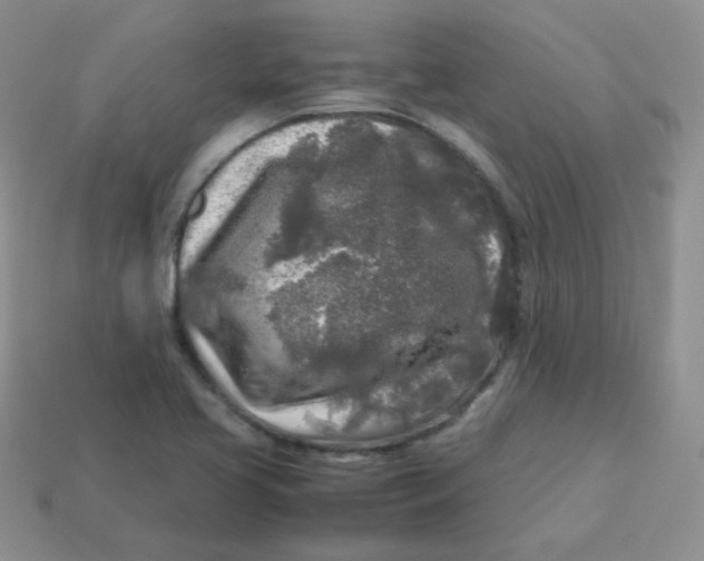 X0000113291413200910131017