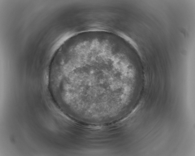 X0000113291415200910131017