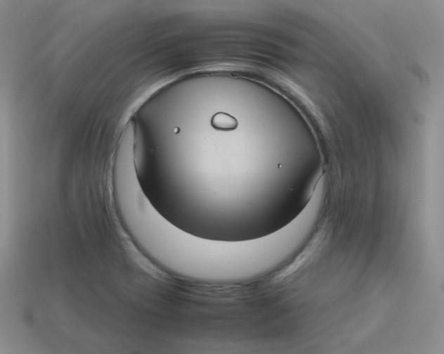 X0000113291417200910131017