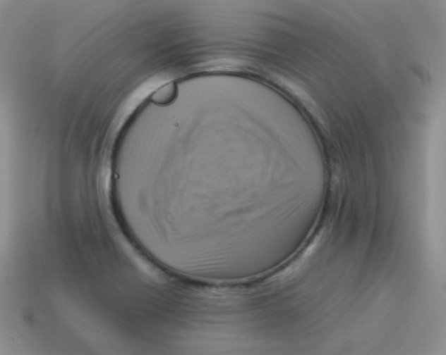 X0000113291418200910131017