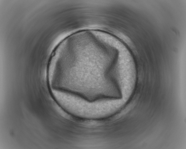 X0000113291420200910131017