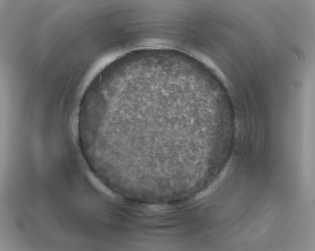 X0000113291421200910131017