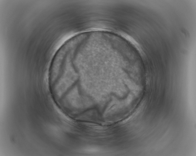 X0000113291423200910131017