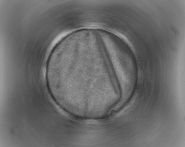 X0000113291424200910131017