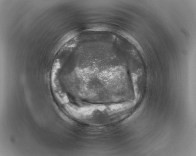 X0000113291425200910131017
