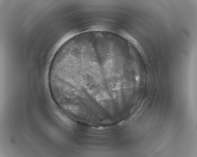 X0000113291427200910131017