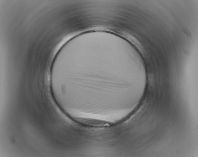 X0000113291428200910131017