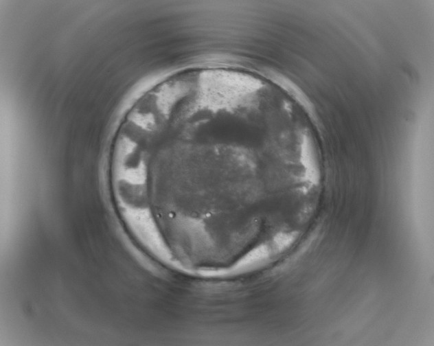 X0000113291429200910131017