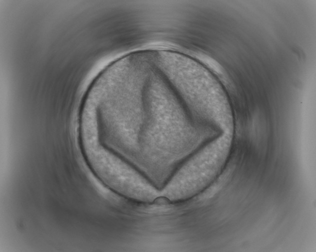 X0000113291430200910131017