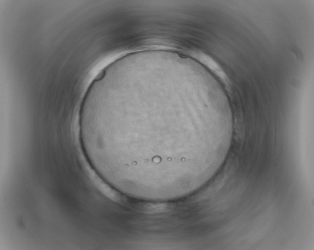 X0000113291431200910131017