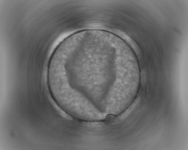 X0000113291432200910131017