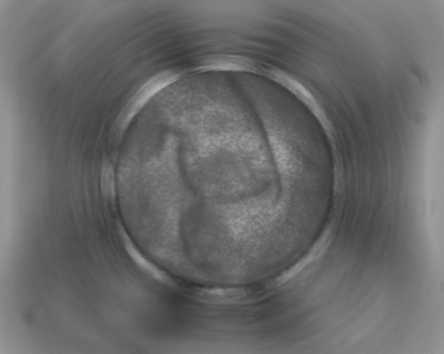 X0000113291433200910131017