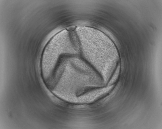 X0000113291434200910131017