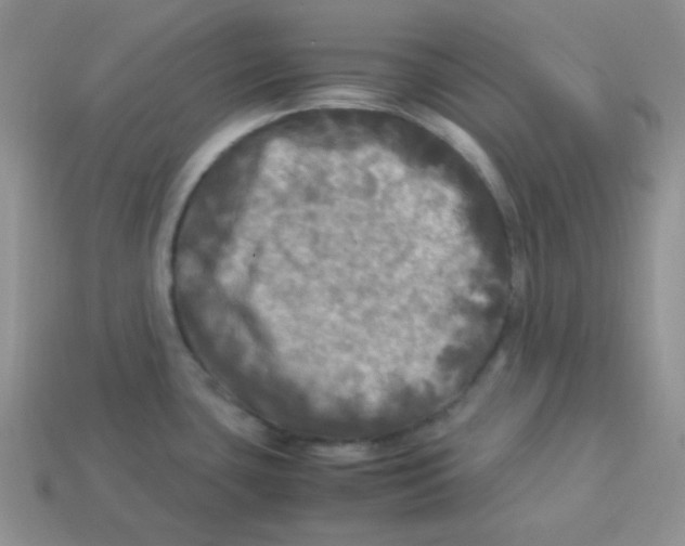 X0000113291435200910131017