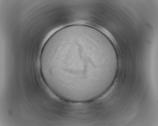 X0000113291436200910131017
