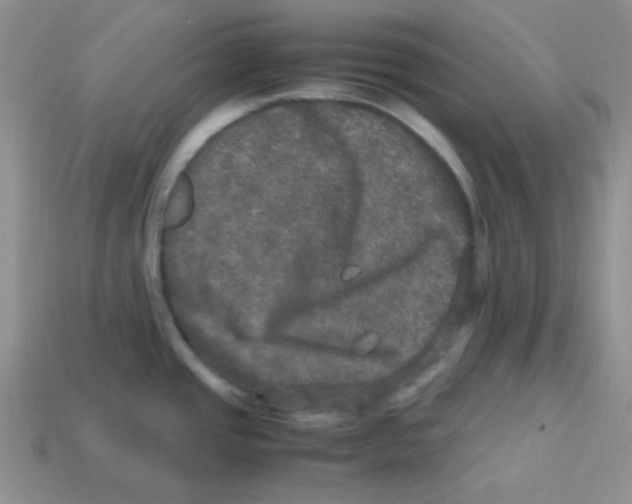 X0000113291437200910131017