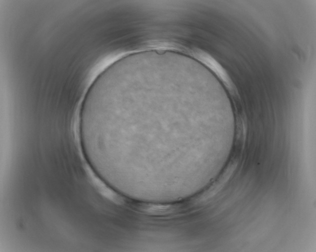 X0000113291439200910131017