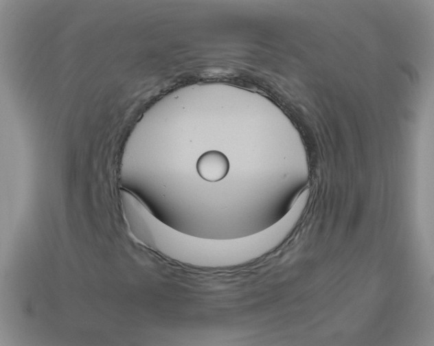 X0000113291441200910131017