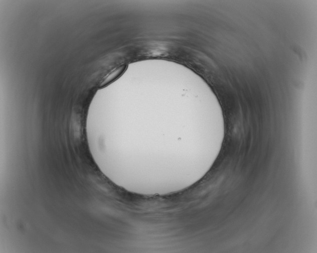 X0000113291442200910131016