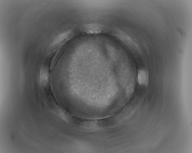 X0000113291444200910131016