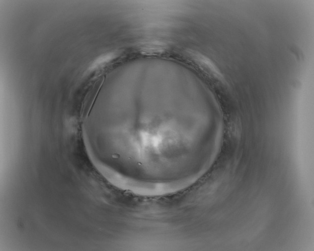 X0000113291445200910131016