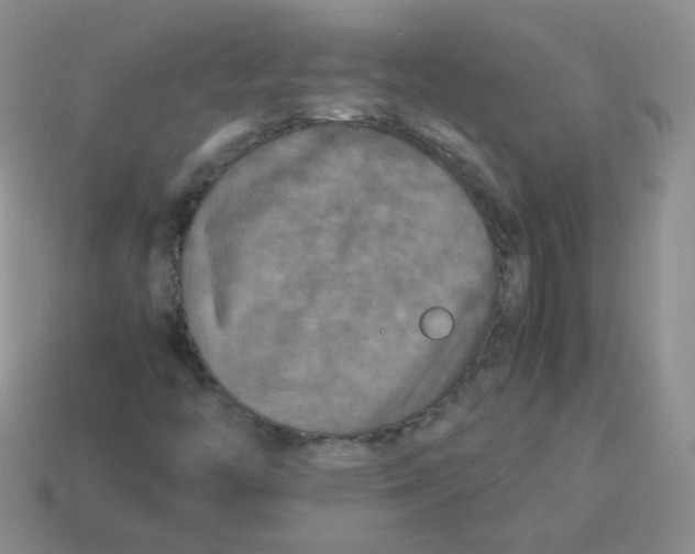 X0000113291446200910131016