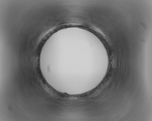 X0000113291448200910131016