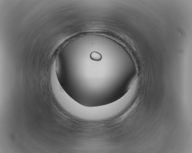 X0000113291449200910131016