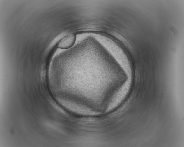 X0000113291450200910131016