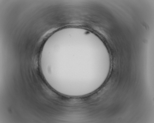 X0000113291451200910131016