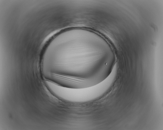 X0000113291452200910131016